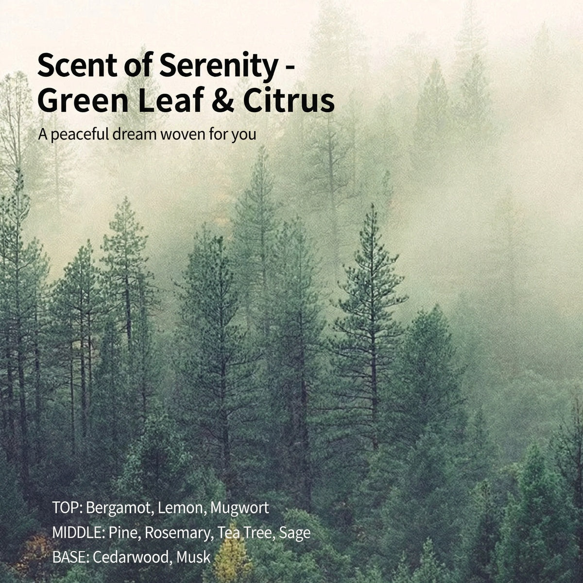 The scent profile for the SOSO mask, "Scent of Serenity - Green Leaf & Citrus," displayed over a misty forest image with top, middle, and base fragrance notes listed.